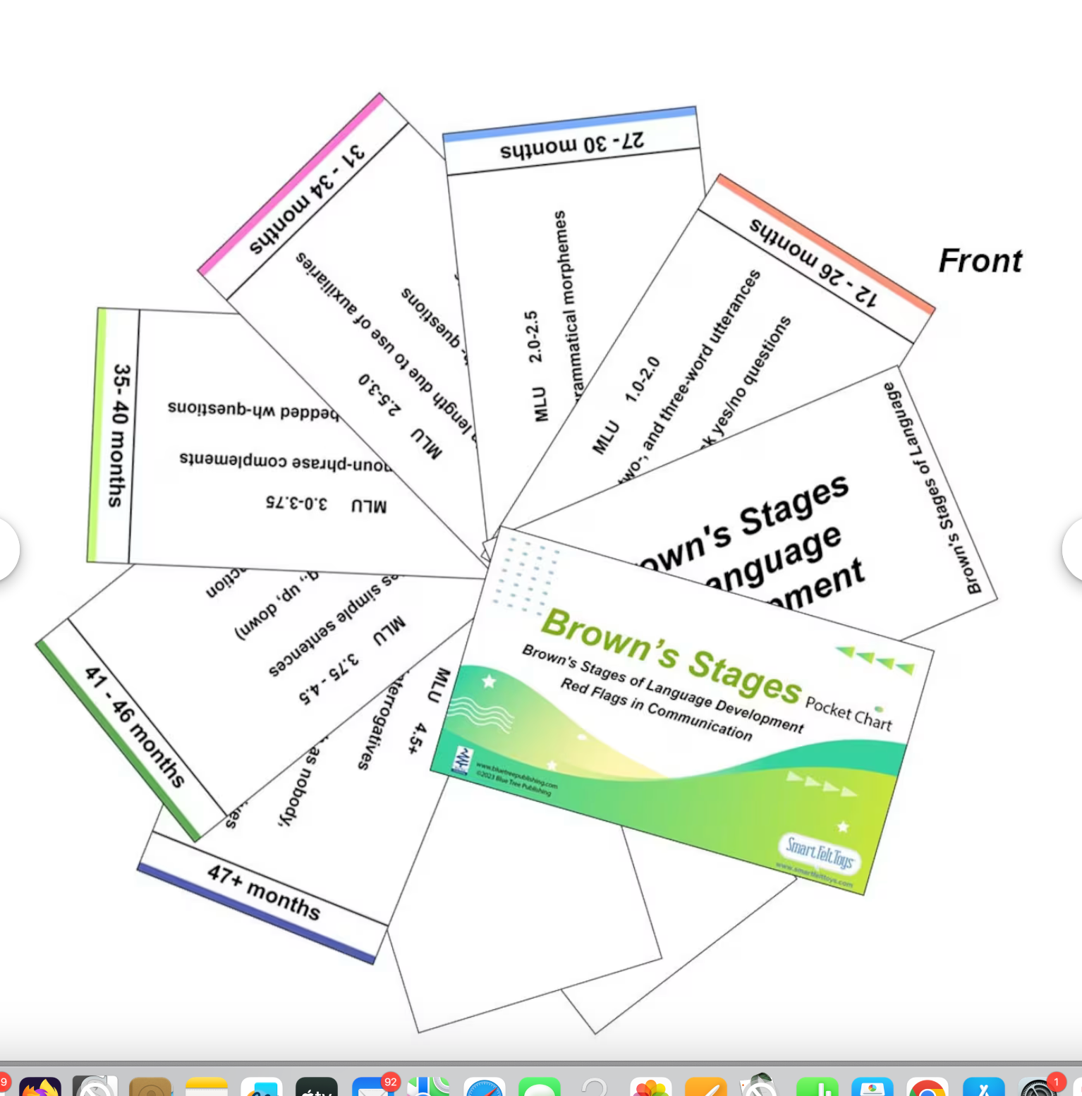 Slp Chart Note ESSENTIAL SLP POCKET CHART KIT