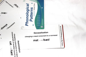 Phonological Patterns Pocket Chart