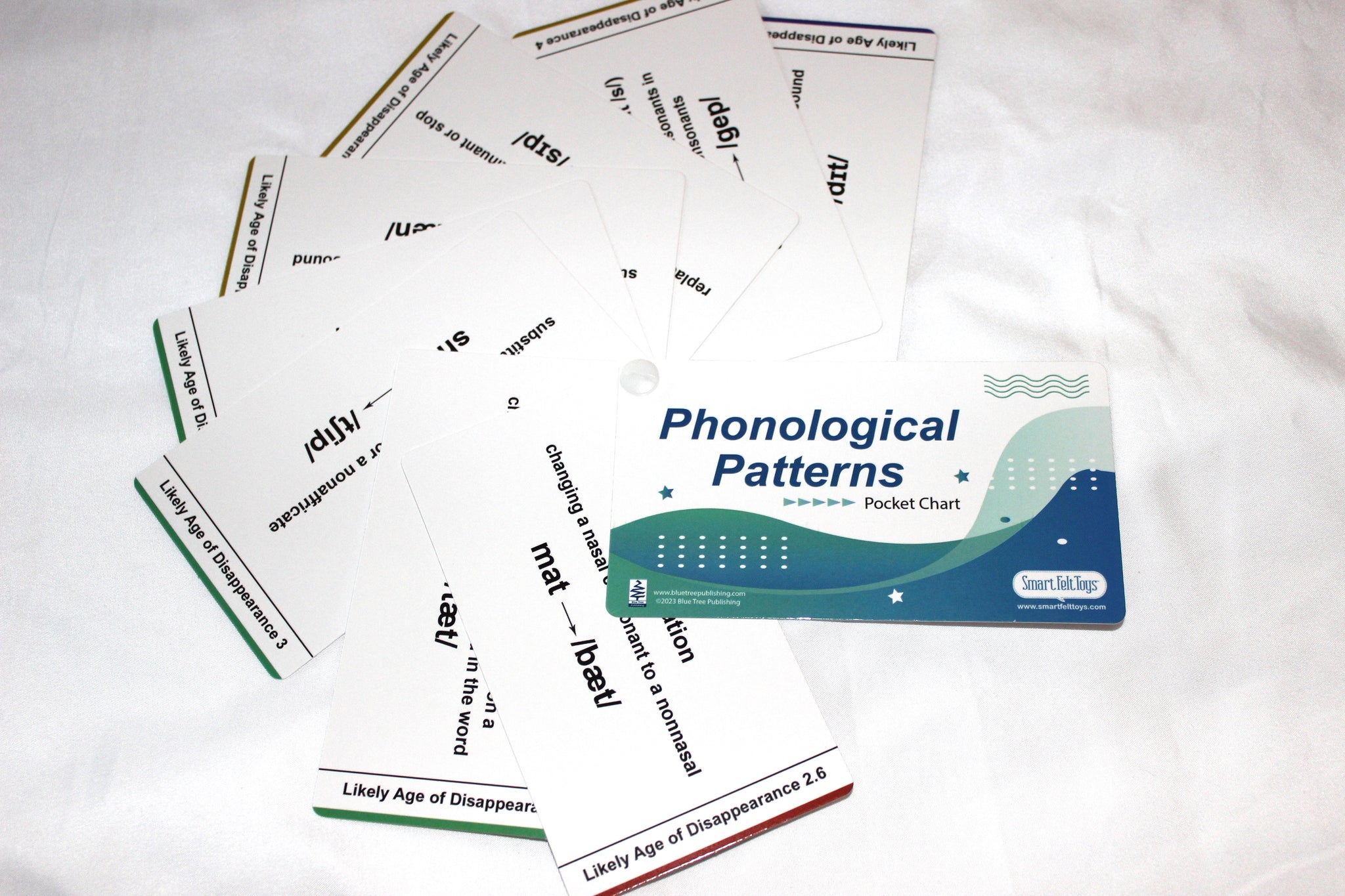 Slp Chart Note ESSENTIAL SLP POCKET CHART KIT